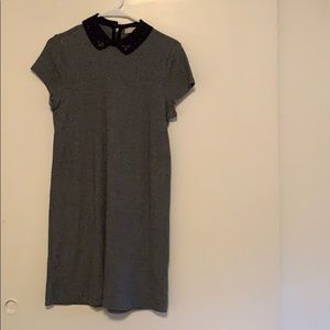 Loft dress with appliqué collar